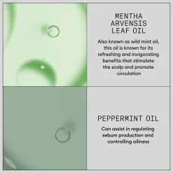 Nioxin Hair Booster Serum seerumi 100 ml