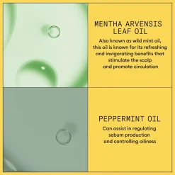 Nioxin System 1 Conditioner hoitoaine 300 ml