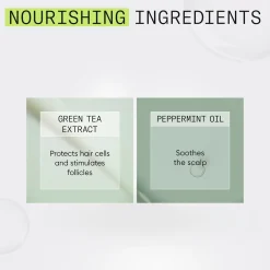 Nioxin System 2 Conditioner hoitoaine 300 ml