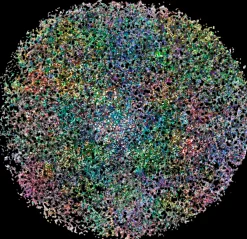 NYX Professional Makeup Face & Body Glitter kimalle kasvoille ja vartalolle 2,5 g