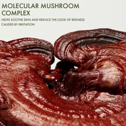 Origins Dr. Andrew Weil for Origin Mega-Mushroom Intensive Rescue Concentrate seerumi 30 ml