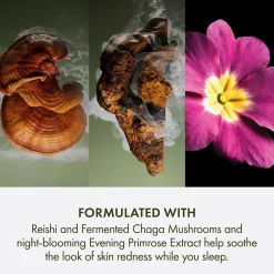 Origins Dr. Weil Mega Mushroom Overnight Recovery Cream yövoide 50 ml