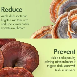 Origins Dr. Weil Mega-Mushroom Dark Spot Brightening Serum -seerumi 30 ml