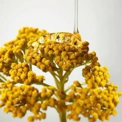 Origins Plantscription™ Wrinkle Correction Eye Cream with Encapsulated Retinol silmänympärysvoide 15 ml