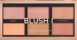 Profusion Cosmetics Blush I poskipunapaletti 16 g