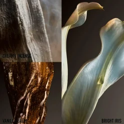 Rabanne Fame Couture EdP Limited Edition -tuoksu 80 ml