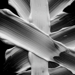 Sebastian Professional Penetraitt Supreme Repair Conditioner 200ml