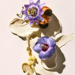 Sol de Janeiro Delicia Drench Body Butter vartalovoide 75 ml