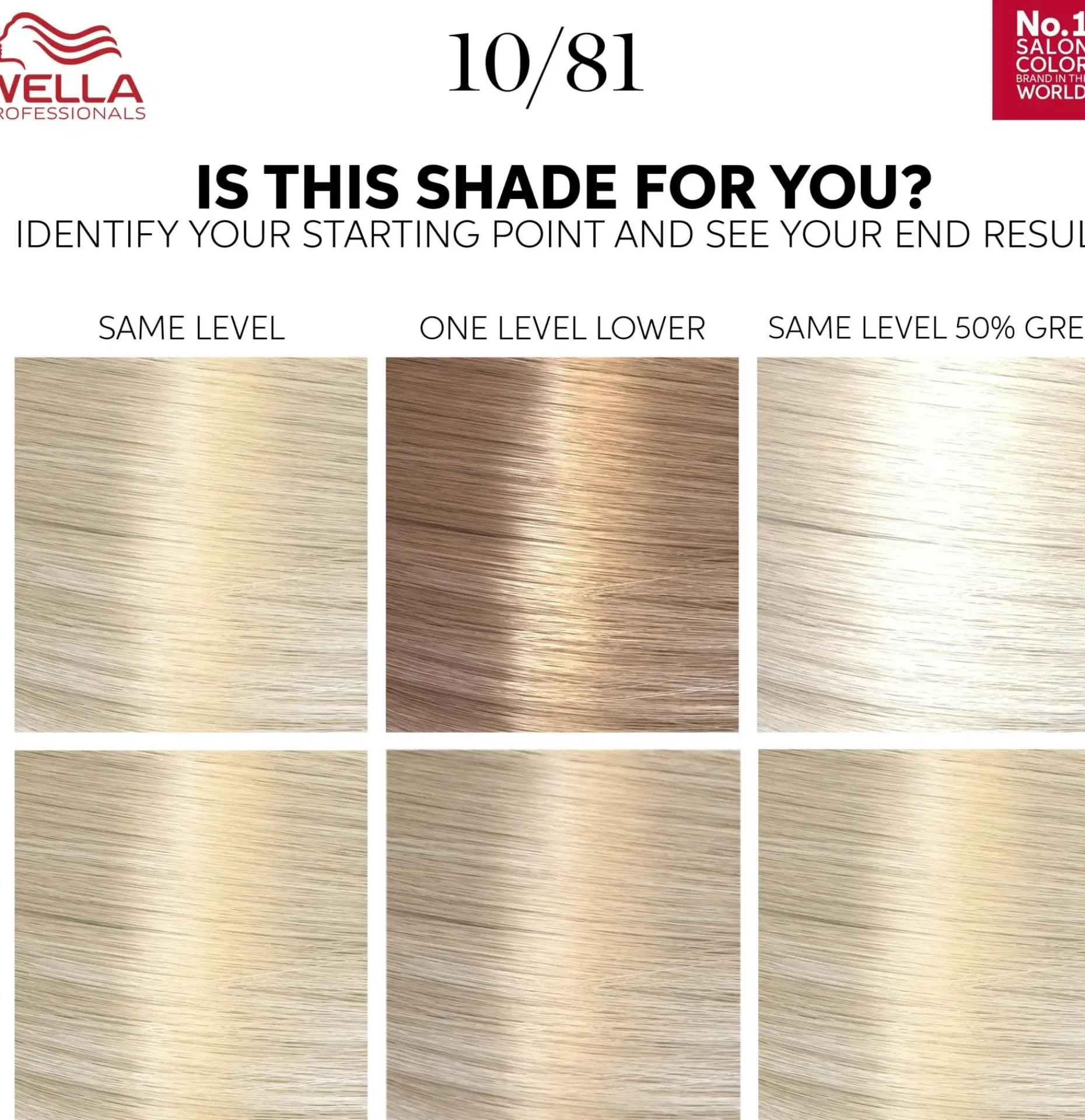 Wella Professionals Color Touch Rich Natural Platinum Blonde 10/81 kotiväri 130 ml
