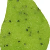Yummy! Kiwi Kisses Body Scrub