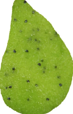 Yummy! Kiwi Kisses Body Scrub
